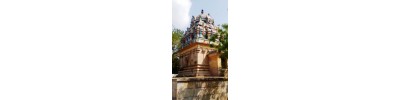 096. திருவைகன்மாடக்கோயில்